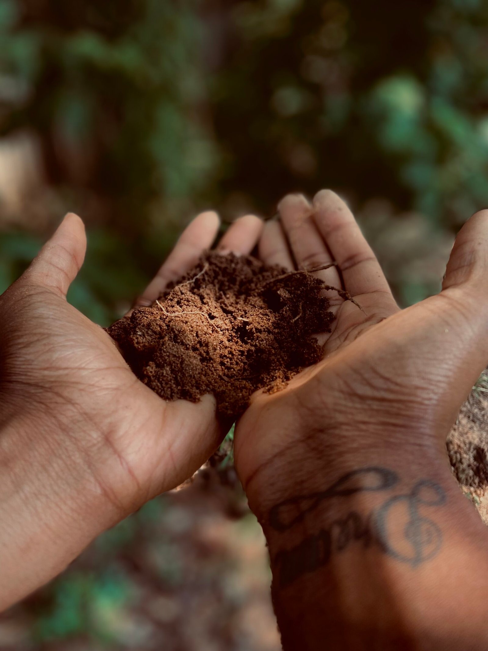 Black Womans Hands Holding Soil Tattoo on Wrist That Says Dream